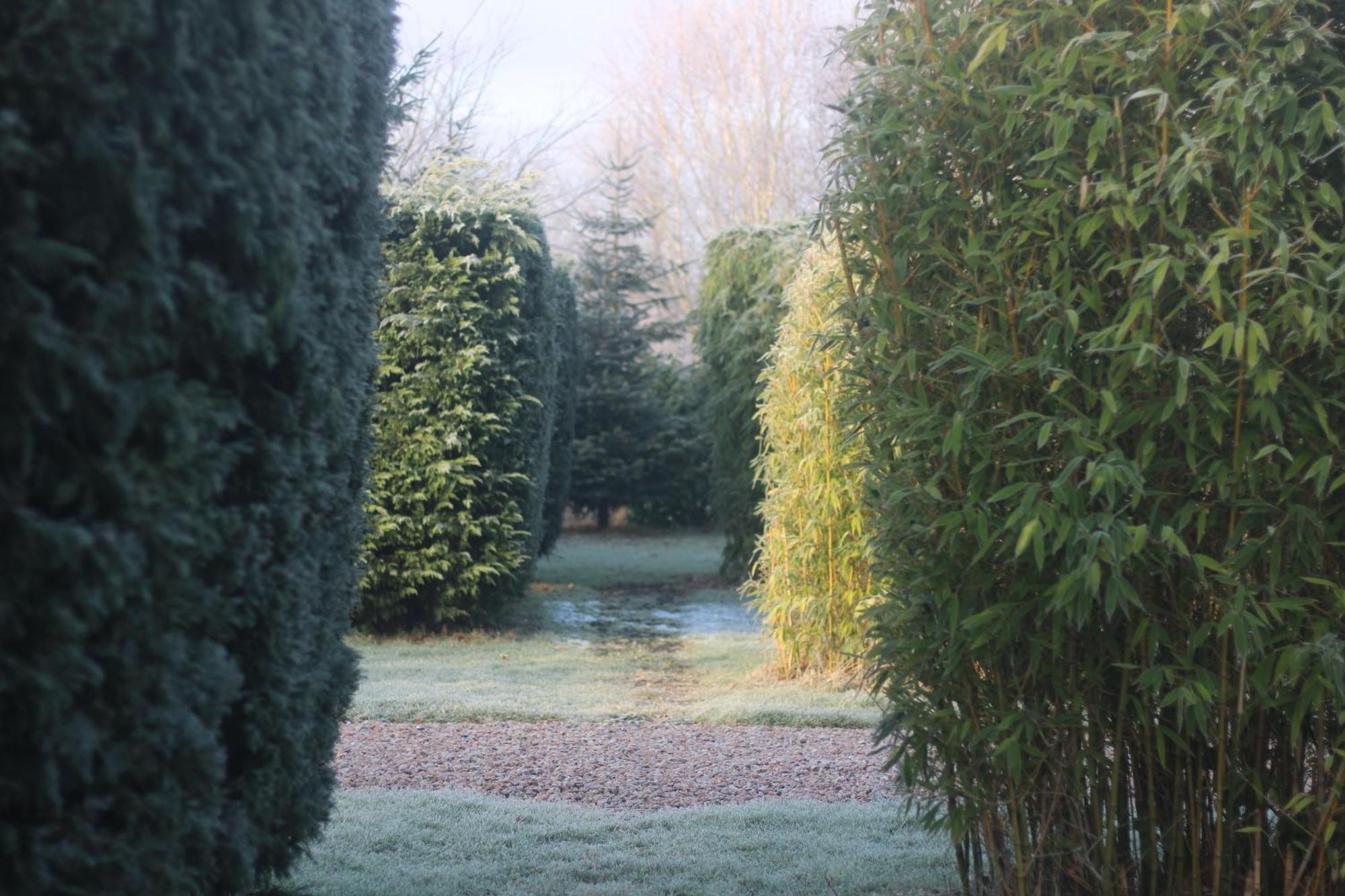Hookwood Lodge London Gatwick Horley Luaran gambar